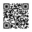 QR Code (код быстрого отклика)