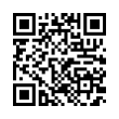 QR Code (код быстрого отклика)