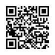 QR Code (код быстрого отклика)