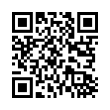 QR Code (код быстрого отклика)