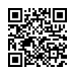 QR Code (код быстрого отклика)