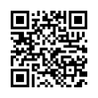 QR Code (код быстрого отклика)