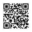 QR Code (код быстрого отклика)
