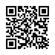 QR Code (код быстрого отклика)