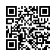 QR Code (код быстрого отклика)