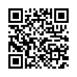 QR Code (код быстрого отклика)