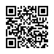 QR Code (код быстрого отклика)