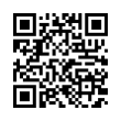 QR Code (код быстрого отклика)