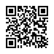 QR Code (код быстрого отклика)