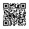 QR Code (код быстрого отклика)