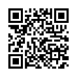 QR Code (код быстрого отклика)