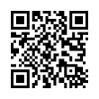 QR Code (код быстрого отклика)