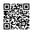 QR Code (код быстрого отклика)