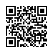 QR Code (код быстрого отклика)