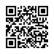 QR Code (код быстрого отклика)