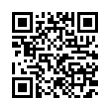 QR Code (код быстрого отклика)