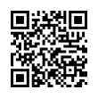 QR Code (код быстрого отклика)