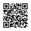 QR Code (код быстрого отклика)