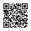 QR Code (код быстрого отклика)