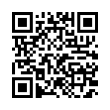 QR Code (код быстрого отклика)