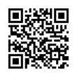 QR Code (код быстрого отклика)