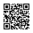 QR Code (код быстрого отклика)