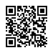 QR Code (код быстрого отклика)