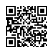 QR Code (код быстрого отклика)