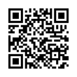 QR Code (код быстрого отклика)