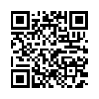 QR Code (код быстрого отклика)