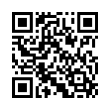 QR Code (код быстрого отклика)