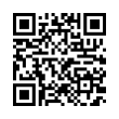 QR Code (код быстрого отклика)