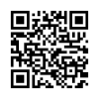 QR Code (код быстрого отклика)