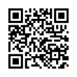 QR Code (код быстрого отклика)