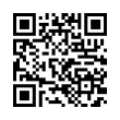 QR Code (код быстрого отклика)