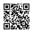 QR Code (код быстрого отклика)