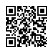 QR Code (код быстрого отклика)