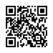 QR Code (код быстрого отклика)