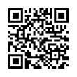 QR Code (код быстрого отклика)