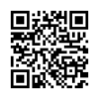 QR Code (код быстрого отклика)