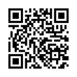 QR Code (код быстрого отклика)