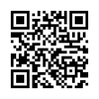 QR Code (код быстрого отклика)