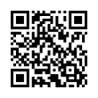 QR Code (код быстрого отклика)