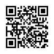 QR Code (код быстрого отклика)