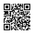 QR Code (код быстрого отклика)