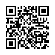 QR Code (код быстрого отклика)