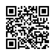 QR Code (код быстрого отклика)