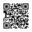 QR Code (код быстрого отклика)