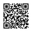 QR Code (код быстрого отклика)