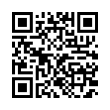 QR Code (код быстрого отклика)